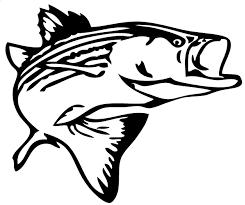 Advanced Fishing Surf Tournament